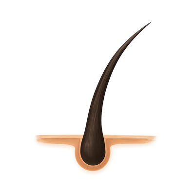 Verringert Haarausfall