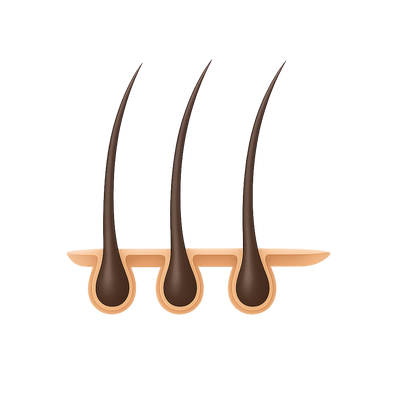 Regt das Haarwachstum an